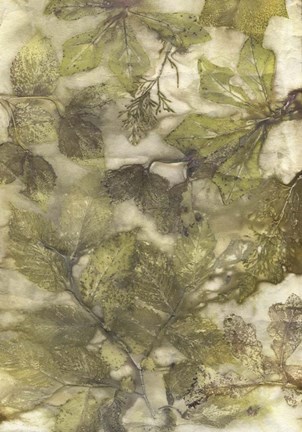 Framed Eco Print III Print