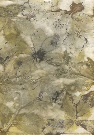 Framed Eco Print VI Print