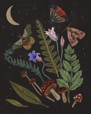 Framed Dark Forest III Print