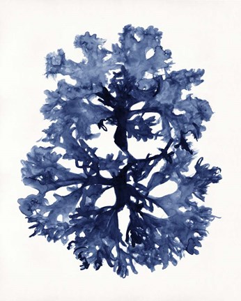 Framed Indigo Ocean I Print