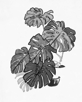 Framed B&amp;W Indoor Plant III Print