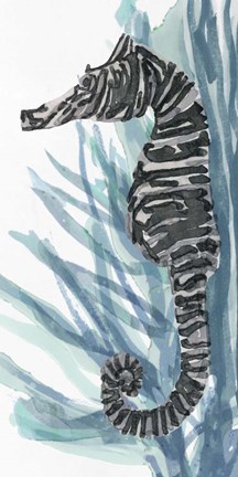Framed Zebra Seahorse II Print