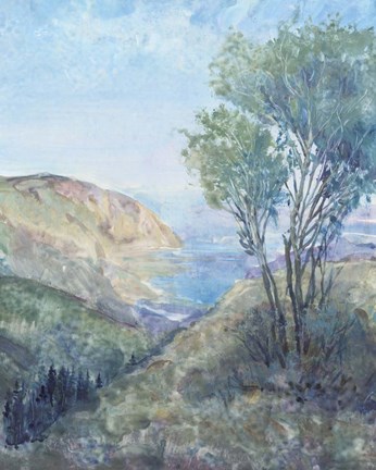 Framed Scenic View II Print