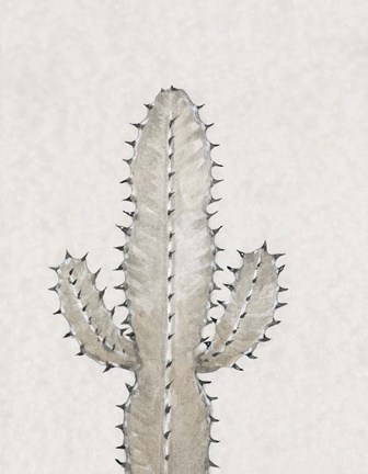 Framed Cactus Study I Print