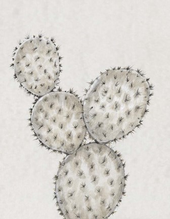 Framed Cactus Study IV Print