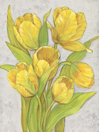 Framed Yellow Tulips II Print