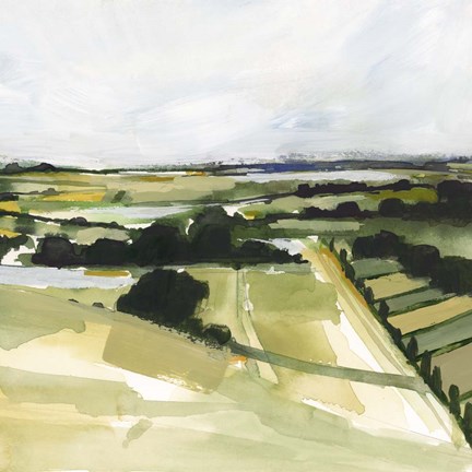 Framed Patchy Landscape I Print