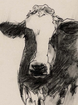 Framed Cow Portrait Sketch II Print