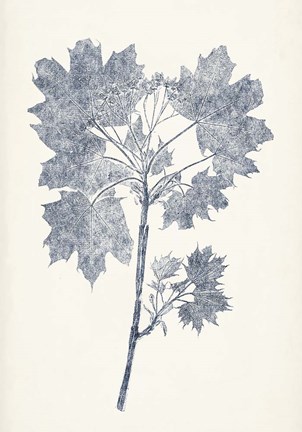 Framed Navy Botanicals I Print