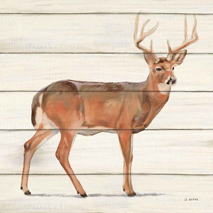 Framed Northern Wild V Print