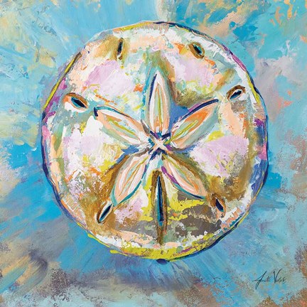 Framed Sand Dollar Print