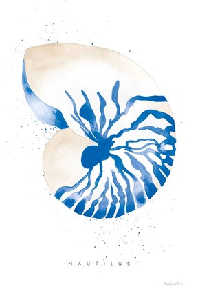Framed Nautilus Print