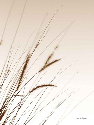 Framed Field Grasses I Sepia Print