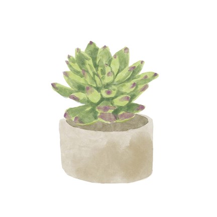 Framed Simple Succulent III Print