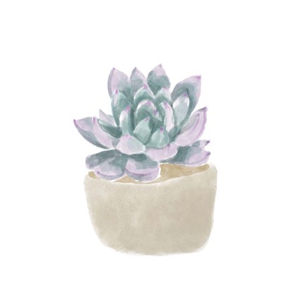 Framed Simple Succulent IV Print
