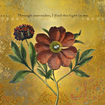 Framed Creative Visualization XIX-Light Print