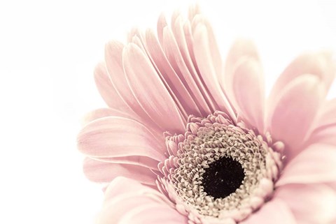 Framed Imaginary Garden Print