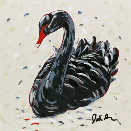 Framed Black Swan Print