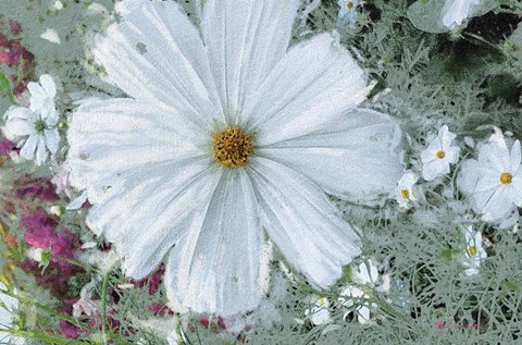 Framed Garden Dream III Print