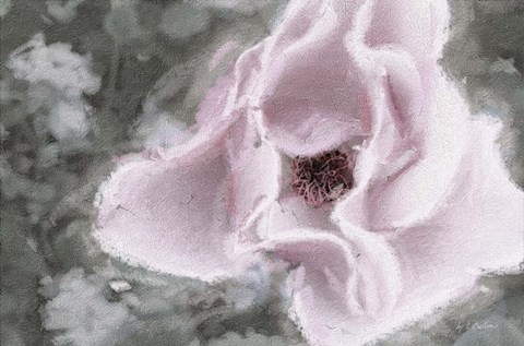 Framed Garden Dream V Print