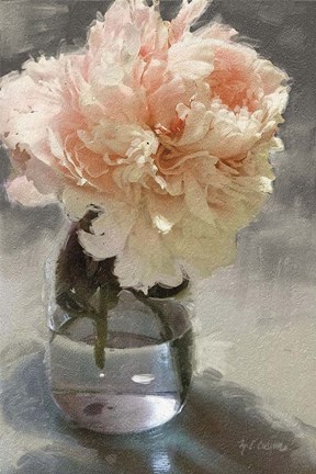 Framed Garden Dream IX Print