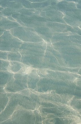 Framed Beach Shore VII Print