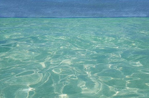 Framed Beach Shore XIII Print