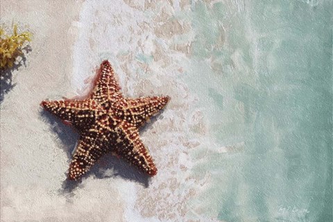 Framed Beach Shore XIV Print