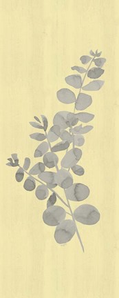 Framed Natural Inspiration Eucalyptus Panel Gray &amp; Yellow I Print
