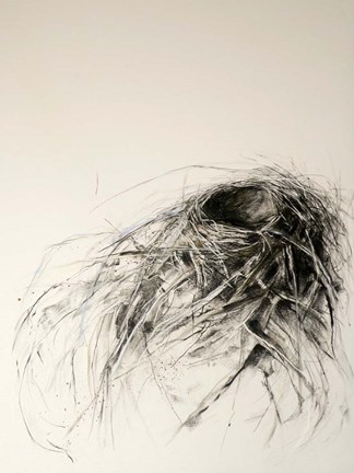 Framed Sanctuary Print