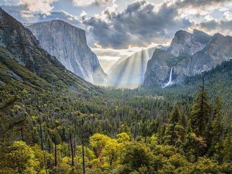 Framed Tunnel View Sun Rays Print