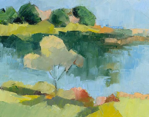 Framed Cape Neddick Print