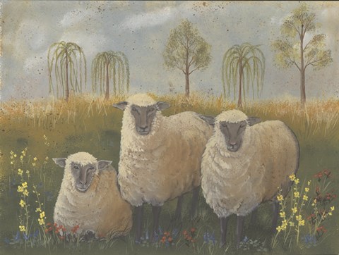 Framed Three Sheep Print
