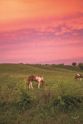 Framed Horse at Sunset Print