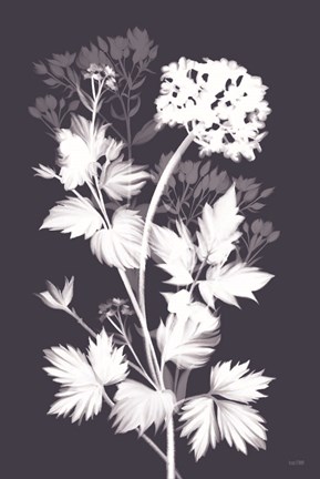 Framed Blues in Bloom I Print