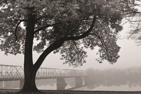 Framed Move On Print