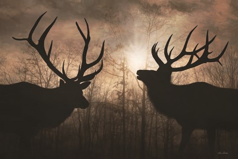 Framed Elk Sunrise III Print
