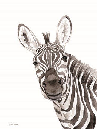 Framed Safari Zebra Peek-a-boo Print