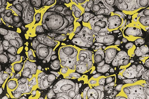 Framed Organic Lines Print