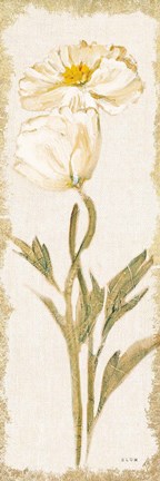 Framed Cosmo Panel Light Print