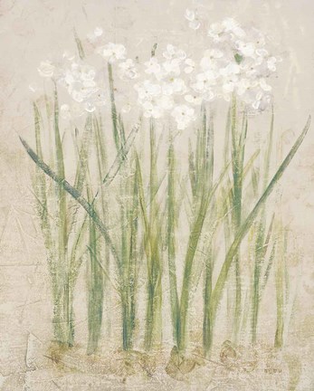 Framed Narcissus Light Print