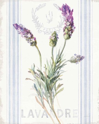 Framed Floursack Lavender II Print