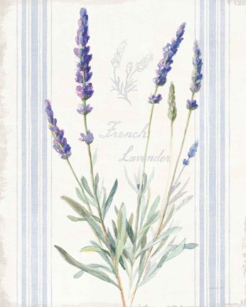 Framed Floursack Lavender I Print