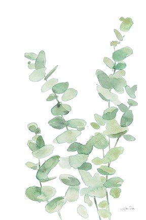 Framed Eucalyptus II Print