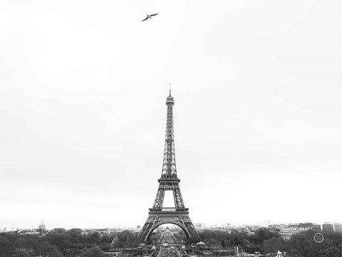 Framed Birds View of Paris Print