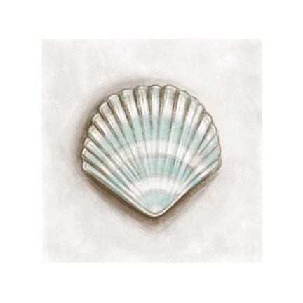 Framed Shell III Print