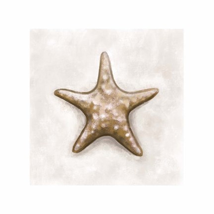 Framed Shell IV Print