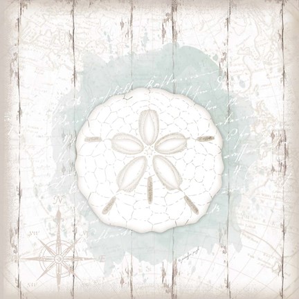 Framed Calming Coastal Sand Dollar Print