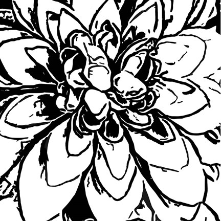 Framed BW Floral No. 5 Print