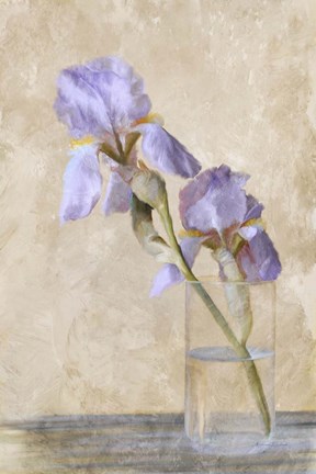 Framed Blue Iris Stem Print